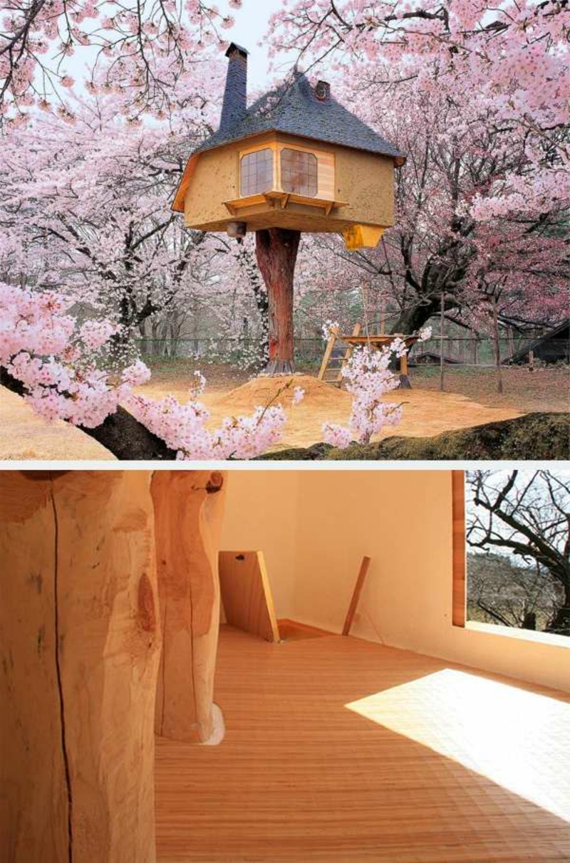 Moderne Gartenhäuser: die Enzigartigkeit des Baumhauses