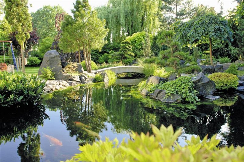 55 gartenteich bilder lassen sie für ihren traumgarten inspirieren ...