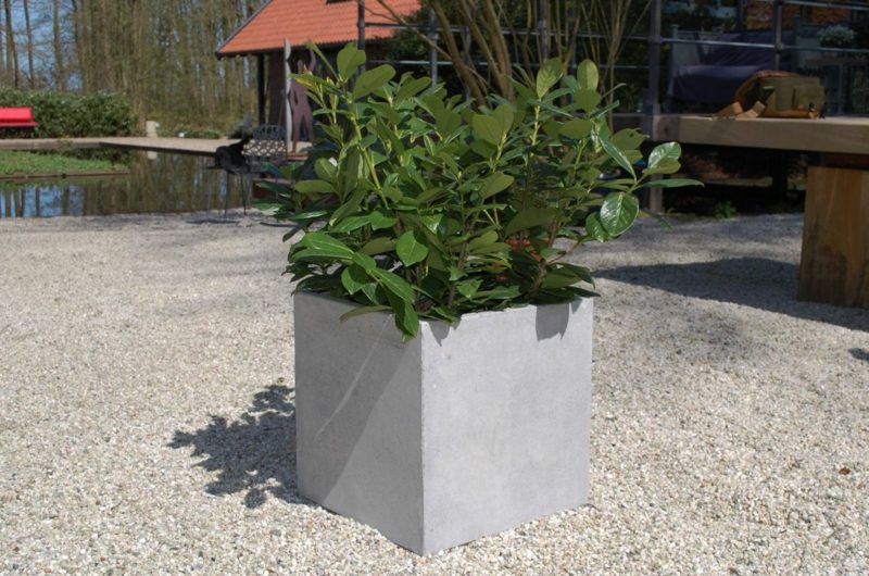 Blumenkübel aus Beton 25 spektakuläre Dekoideen für die