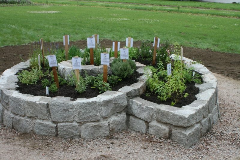 Kräuterschnecke bauen Ideen und praktische Tipps
