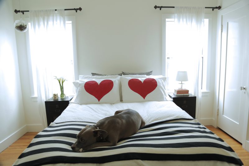 Kissen nähen ideen, tipps und anleitung bastelideen, diy ...