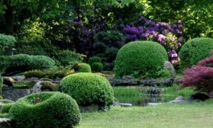 japanischer Steingarten