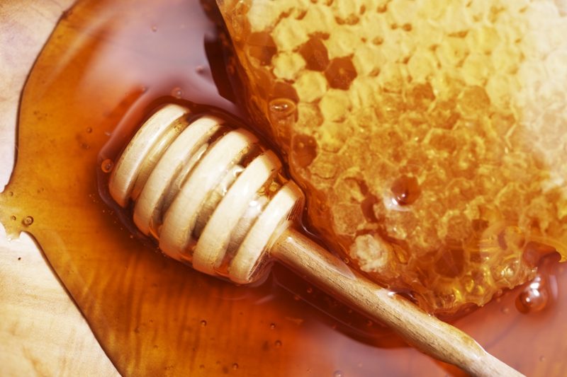 natürliche antibiotika Manuka Honey pure