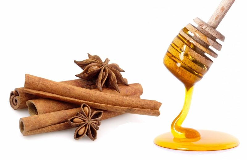 natürliche antibiotika Manuka honey cinnamon