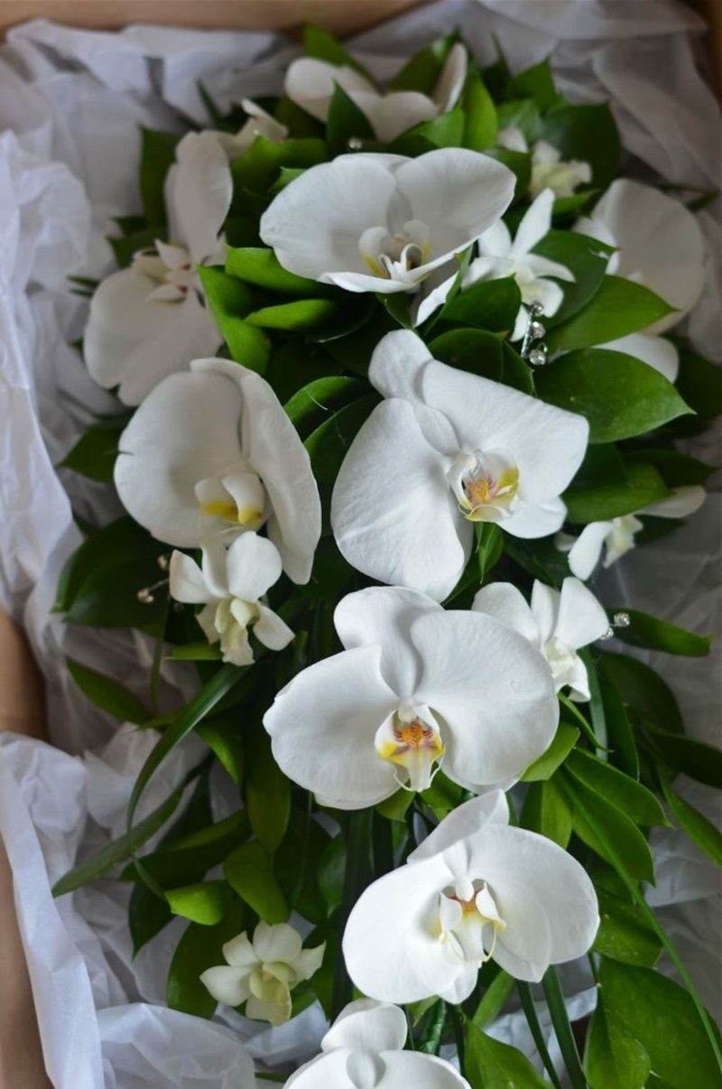 Hochzeitsstrauβ aus weissen Orchideen