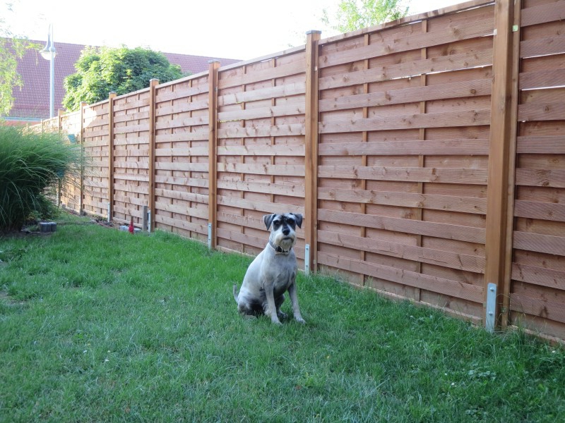 45 effekvolle Ideen für Gartensichtschutz