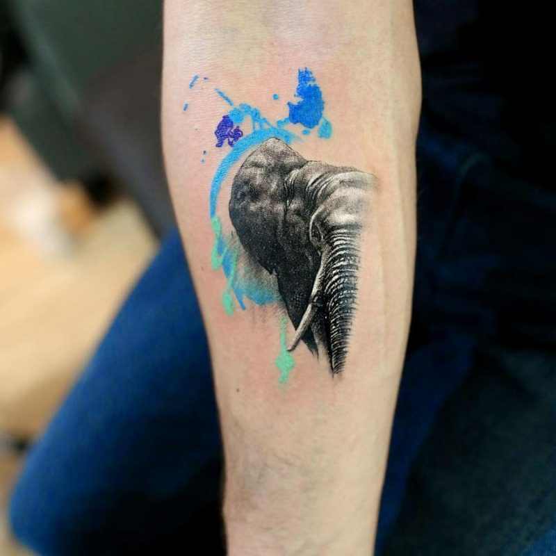 elefanten tattoo