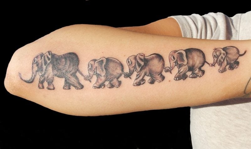 elefanten tattoo 