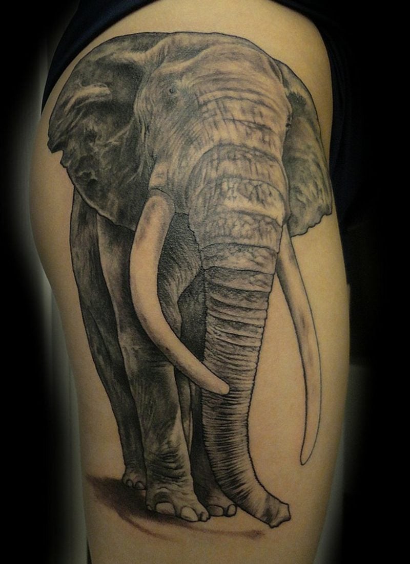 elefanten tattoo side elephant tattoo