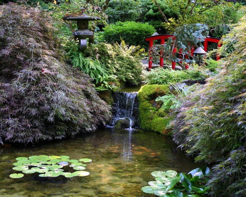 Japanische Gärten mit Wasserfall 