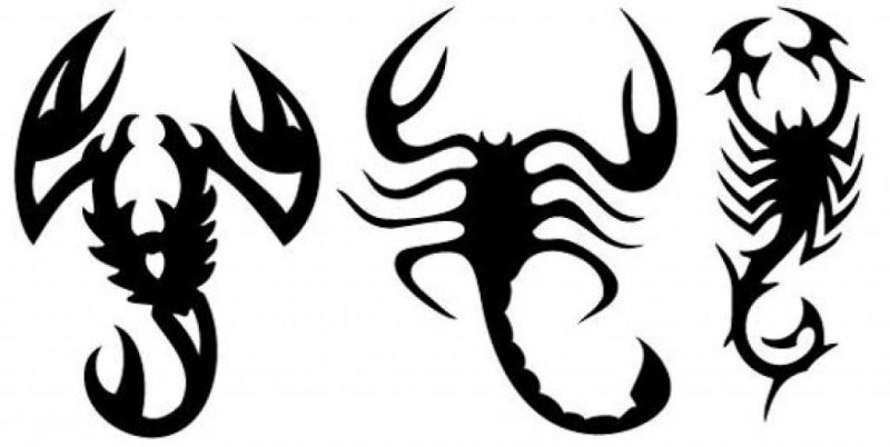 Tattoovorlagen kostenlos Tribal Skorpion 