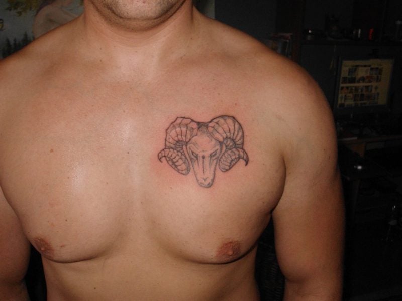 widder tattoo aries tattoo on chest