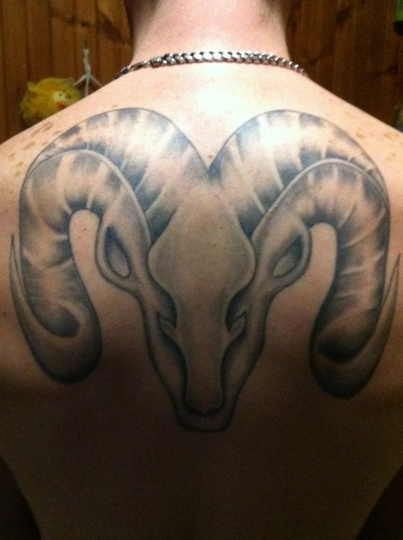 widder tattoo grey ink aries tattoo on back body