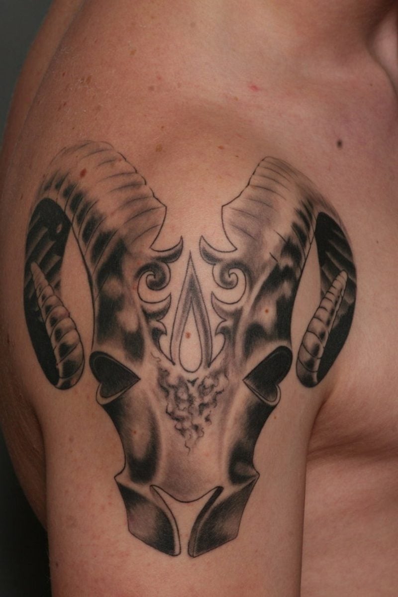 widder tattoo tremendous aries tattoo on shoulder 