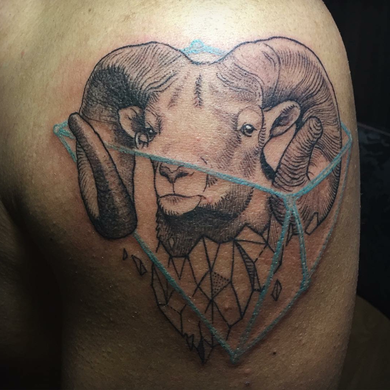 Widder Tattoo Symbolik und Bedeutungen Tattoos ZENIDEEN