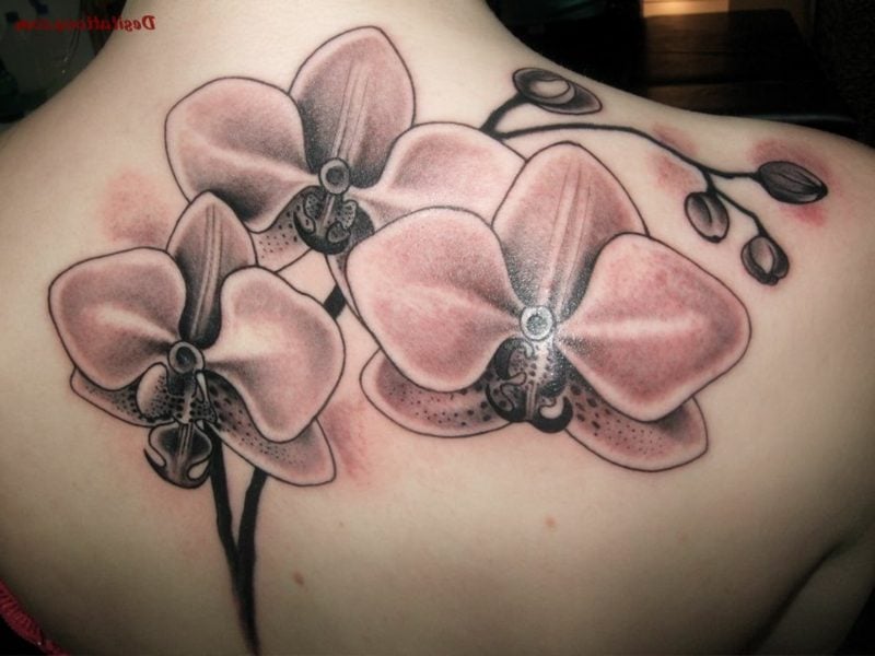 orchideen tattoo grey ink