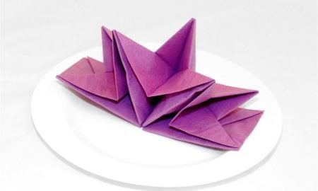 papierservietten-falten-serviettes_pre_folded_tissue_paper_napkins_new