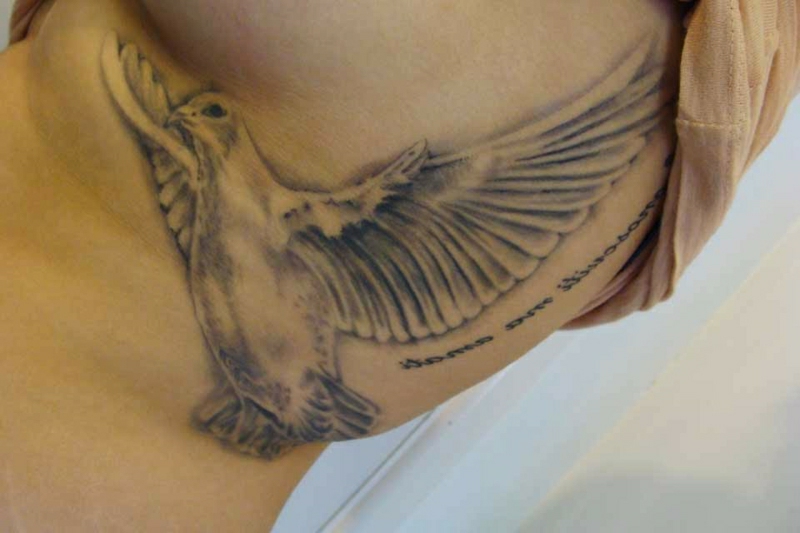 Tauben Tattoo Designs und Ideen Tattoos ZENIDEEN