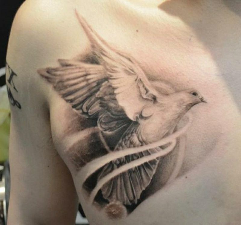 tauben tattoo chest realistic