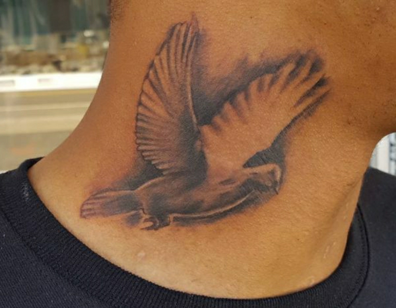 Tauben Tattoo Designs und Ideen Tattoos ZENIDEEN