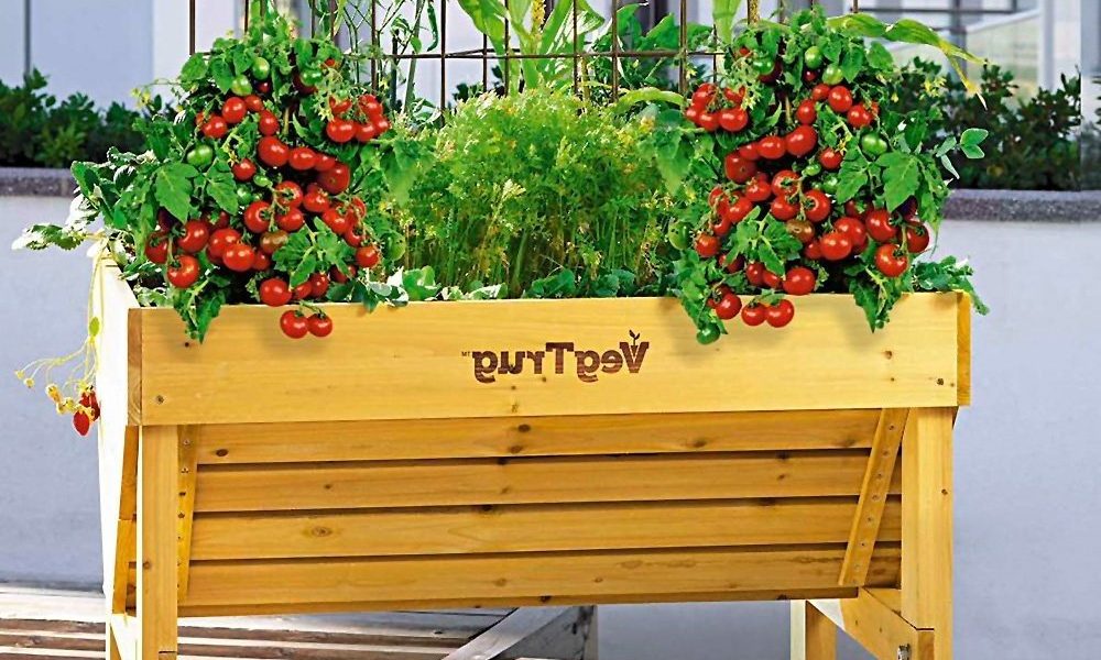 Kräuterhochbeet 23 erfrischende Beispiele für einen Bio Garten