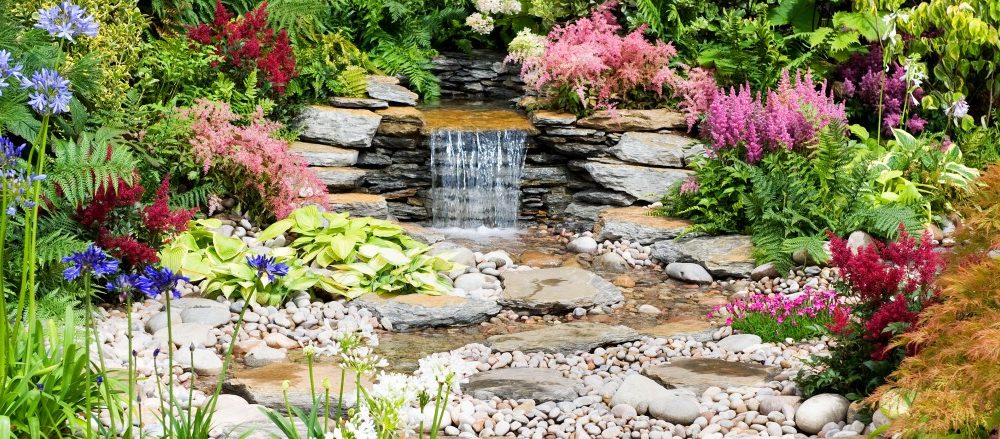 Pflanzen für Steingarten:7 pflegeleichte Vorschläge - Garten