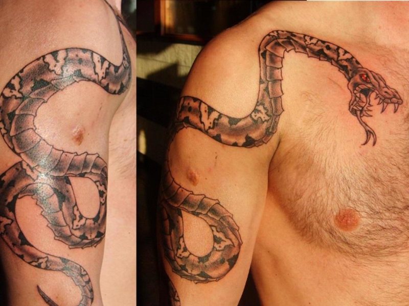 Schlangen Tattoo wird gewickelt tätowiert 