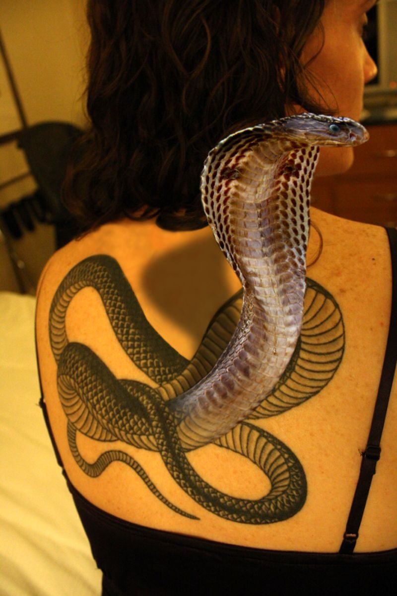 Kobra Schlangen Tattoo wird meistens von Frauen bevorzugt 