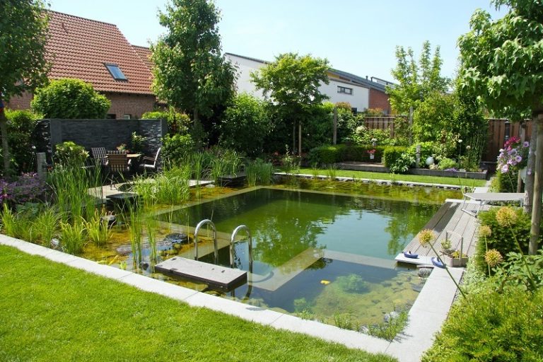 Wie viel darf ein Schwimmteich kosten? DIY, Pooldesign ZENIDEEN