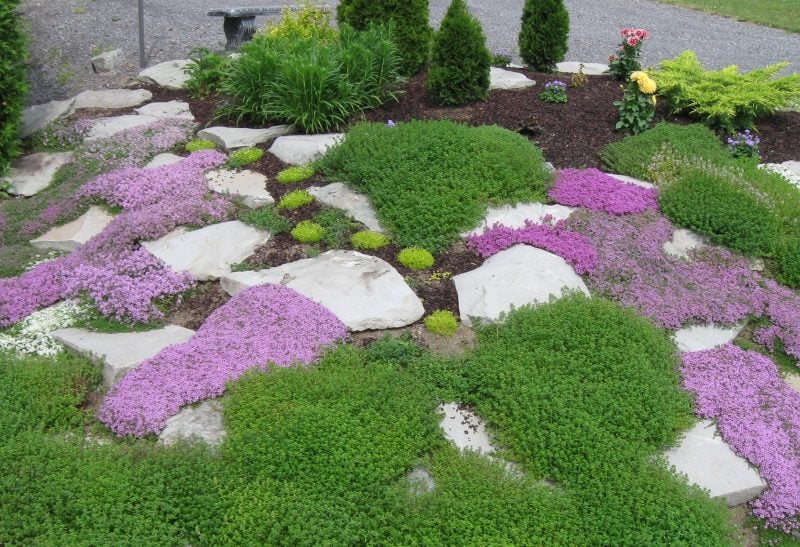 Steinbeet anlegen: Informieren Sie sich von unseren Tipps welche Pflanzen für den Steingarten sich eignen 