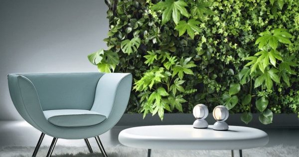 Indoor Vertikaler Garten: Bringen Sie die Natur zu Hause - Garten