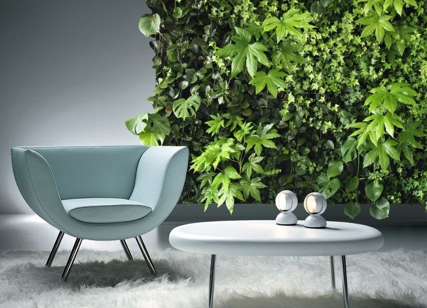 Indoor Vertikaler Garten: Bringen Sie die Natur zu Hause - Garten