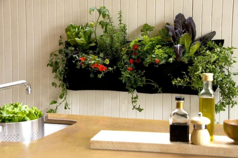 Indoor Vertikaler Garten: Bringen Sie die Natur zu Hause - Garten