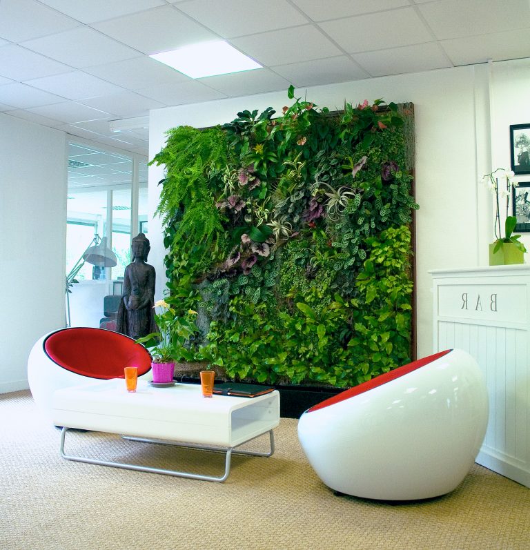 Indoor Vertikaler Garten: Bringen Sie die Natur zu Hause - Garten