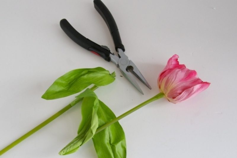 Tulpen schneiden Kranz selber machen Frühlingsbasteln