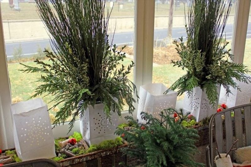 Dekoideen zu Weihnachten grüne Pflanzen Fensterbank
