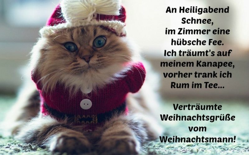 Weihnachts- und Neujahrwünsche für Familie, Freunde und Mitarbeiter