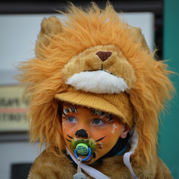 Fasching Verkleidung: Fasching Ideen für Kinderkostüme: Tier Karneval Kostüme: Karnevalskostüm kaufen