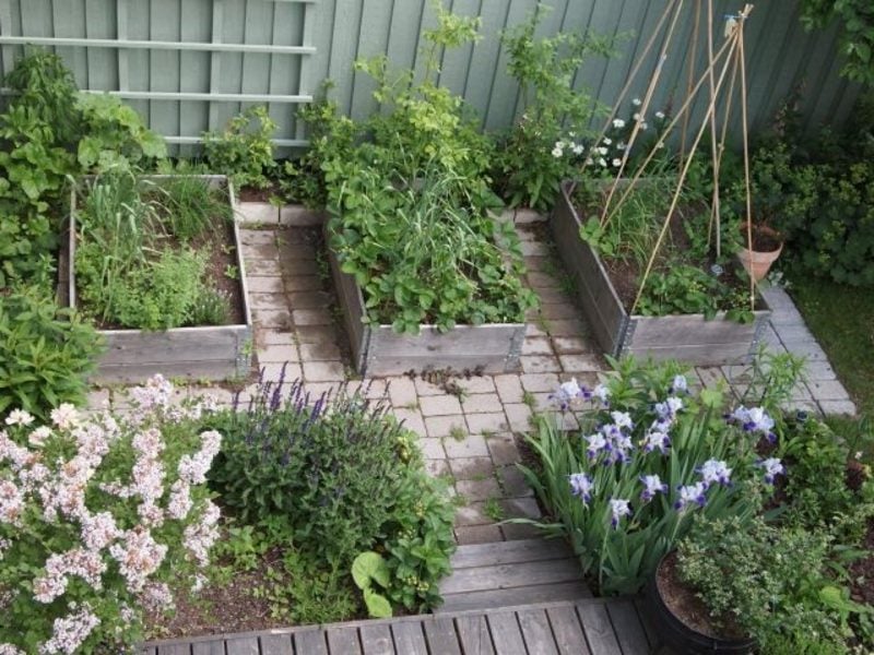Gartengestaltung Ideen Gemüse anbauen Hochbeete