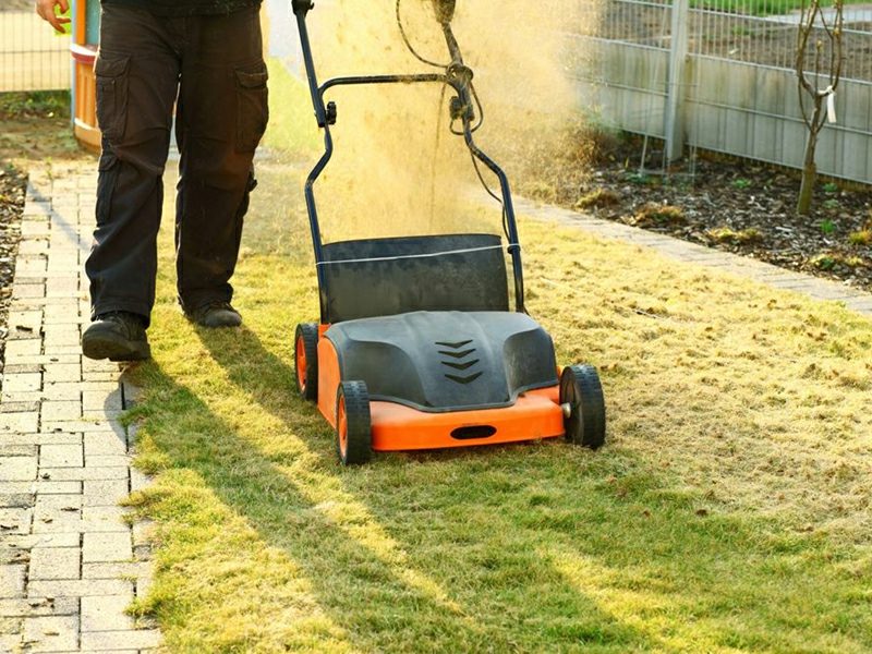 Richtig Vertikutieren nützliche Pflegetipps für einen schönen Rasen