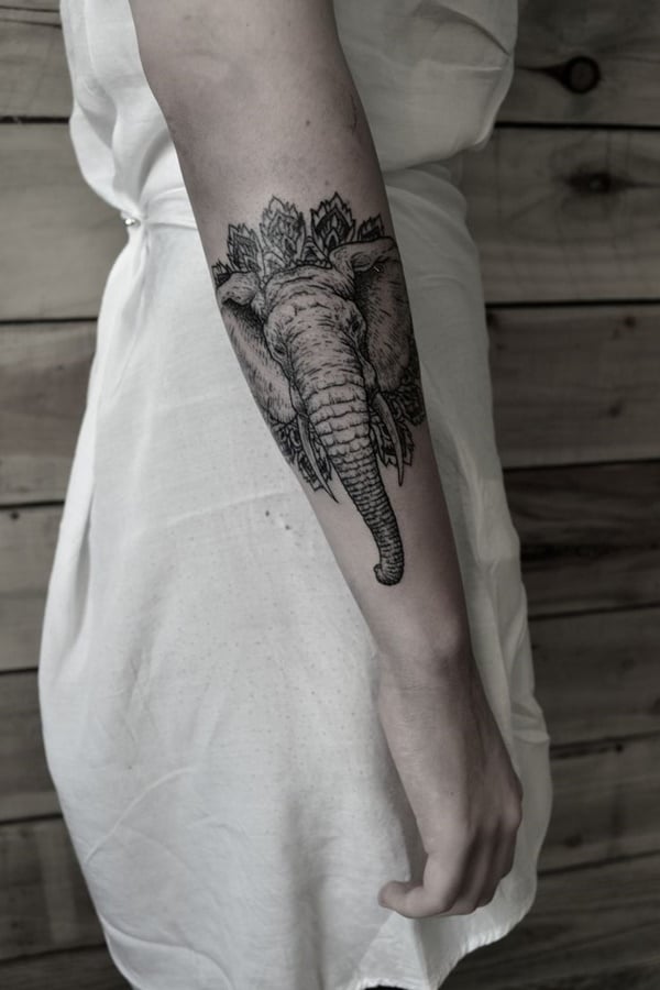 elefant tattoos frauen tattoo ideen frauen