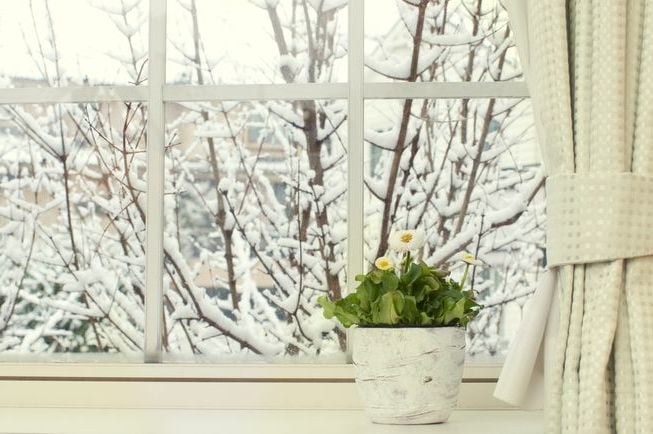 optimale luftfeuchtigkeit wohnräume winter regelmäßig lüften