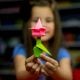 Origami Blume basteln Anleitung