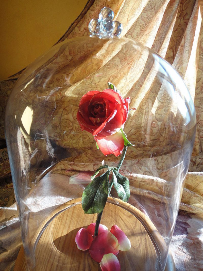 Rose basteln: nicht nur Blume, sondern ein selbstgemachtes Geschenk - vom Herz und Hand
