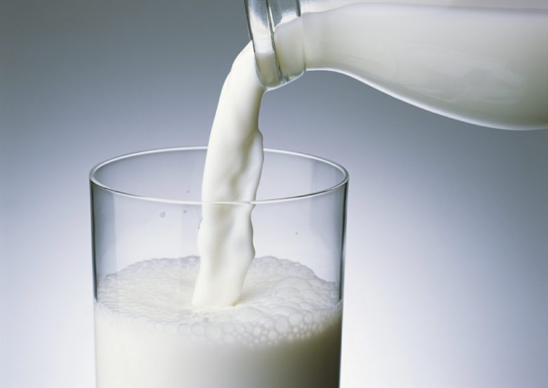 Ernährunng ohne Kohlenhydrate Milch