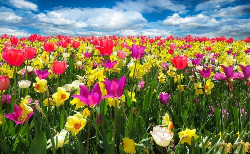  Die Farben des Frühlings Fruhlingsbilder