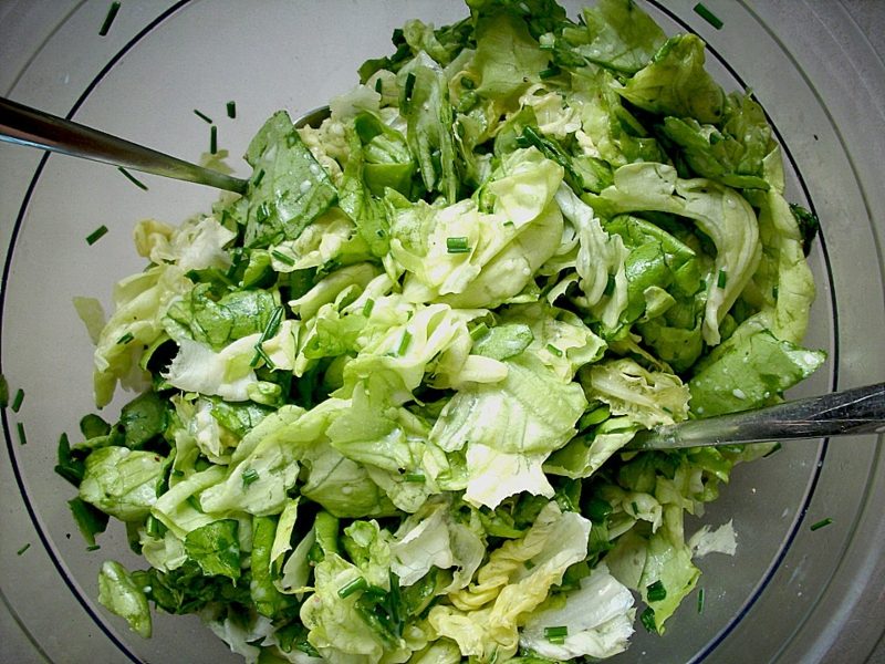 Essen ohne Kohlenhydrate grüner Salat