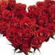 rote-roseRed-roses-heart-for-sweetheart