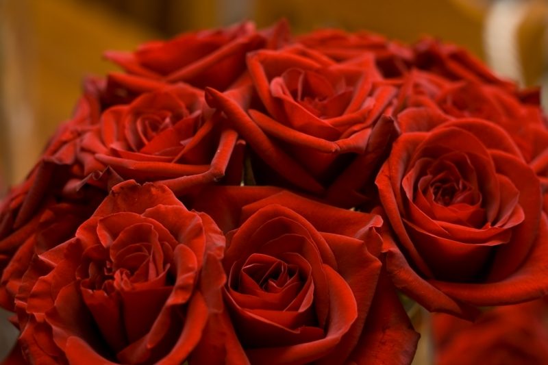 Blumen zum Valentinstag beim Online-Blumenversand Fleurop bestellen