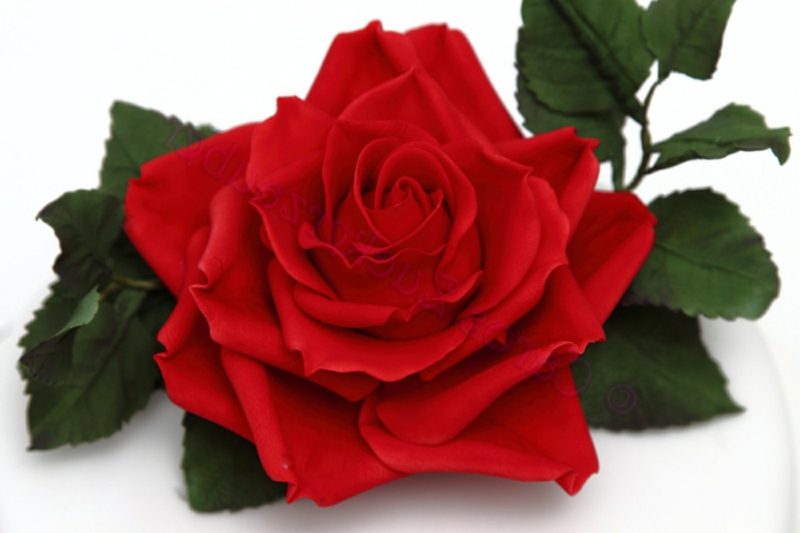 Valentinstag: Es müssen nicht immer Rosen sein